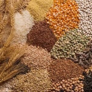 Agriculture