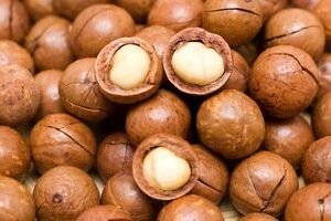 Macadamia Nuts