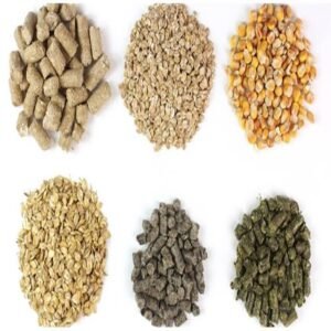 Animal Feed