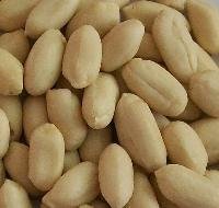 Peanut Nut Kernel