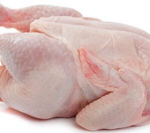 Chicken Meat