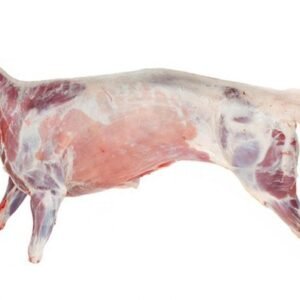 Lamb Meat