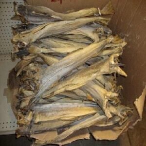 Stock Fish