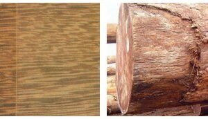 IROKO